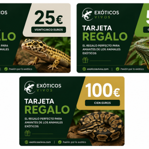 TARJETA DE REGALO